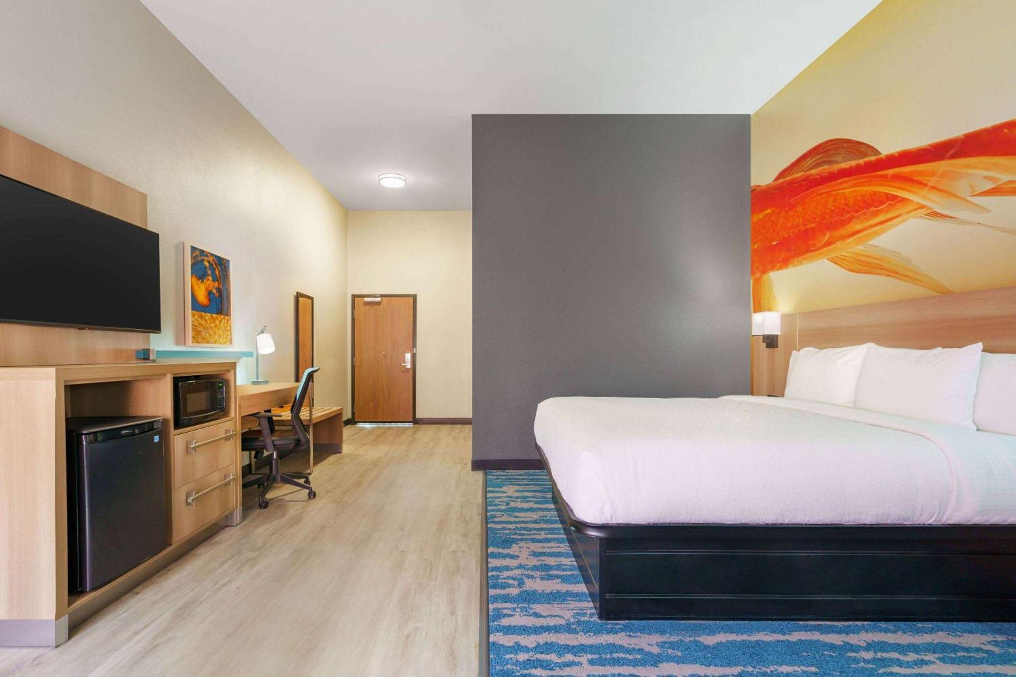 La Quinta Inn & Suites By Wyndham San Antonio Seaworld Lafb Luaran gambar